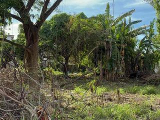 Residential Lot for Sale in Remmanville Executive Village, Don Bosco, Parañaque City