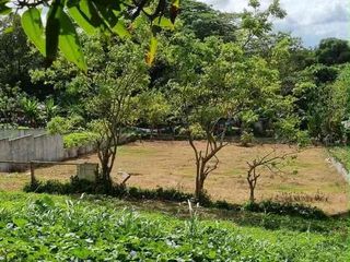 Lots For Sale in Alfonso Cavite