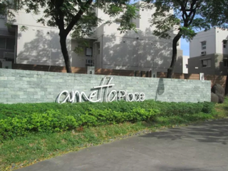 Prime Vacant Lot Near Makati, Ortigas & BGC | Vacant Lot in Ametta Place for Sale