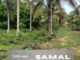 🌿 AGRICULTURAL LOT FOR SALE – San Isidro, Kaputian, Samal Island