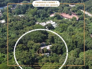 OWN 1 HECTARE IN PARADISE FARM 1, SJDM — NOW ₱65M