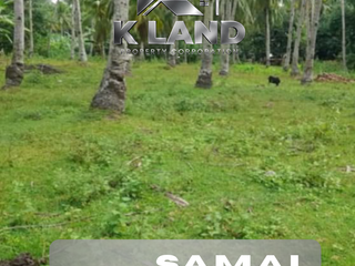 🌿 2 HECTARES AGRICULTURAL LOT FOR SALE – Danao, Balet, Babak, Samal Island