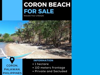 Coron Beach Lot for Sale