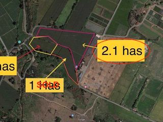 Agricultural Farm Lot for Sale – Overlooking Mt. Arayat