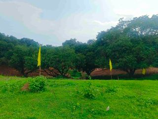 FARM LOT FOR SALE, READY TO USE IN ANTIPOLO CITY, WITH FREE KUBO AND FRUIT BEARING TREES.