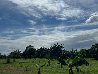 Agricultural Lot For Sale in Bulacan