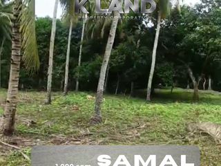 🌿1,000 sqm  FARM LOT FOR SALE – Canaan, Kaputian District, Samal Island
