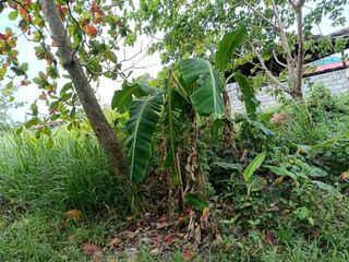 RESIDENTIAL LOT FOR SALE