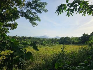 20,300 SQM Agricultural Lot in Banadero, Tanauan City, Batangas