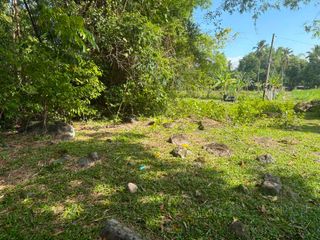 Land for sale in West Balabag Valencia