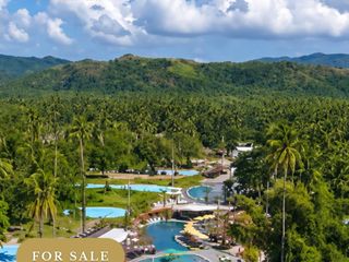 5 Adjacent Lots For Sale in Laiya, San Juan, Batangas