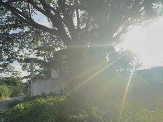 Rush Lot For Sale in Vineyard Residences Dasmarinas Cavite
