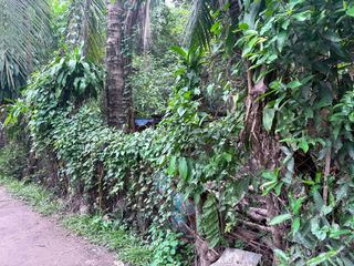 LOT FOR SALE IN DUMAGUETE CITY ID 15133