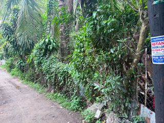 LOT FOR SALE IN DUMAGUETE CITY ID 15133