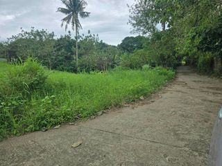 8,475 sqm Lot in Bgy. Malabag, Silang Cavite for SALE! TITLED at 5k per sqm