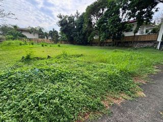 Ayala Alabang Village Prime Lot for Sale 702 SQM  ₱200K/SQM in Muntinlupa City
