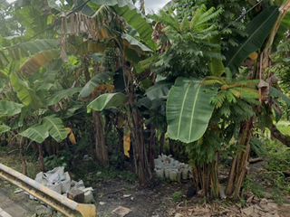 3.5 Hectares Vacant Lot for Sale in Puro Legazpi Albay
