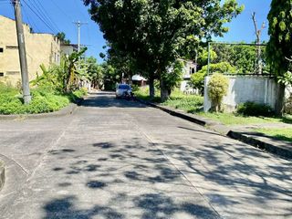 Lot For Sale In Golden Meadows Subdivision, Cordova, Cebu