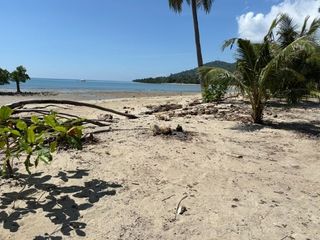 Lot for Sale Clean Title Beachfront Puerto Princesa, Palawan