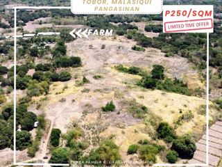 22 HECTARE FARM ALERT | MALASIQUI, PANGASINAN