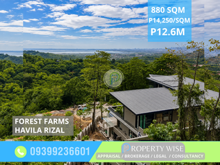 A RARE 880 SQM OVERLOOKING LOT FOR ONLY P14,250/sqm FOREST FARMS, HAVILA