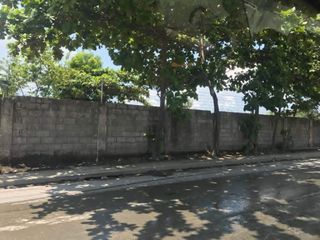 Massive 24.2k SQM Taguig Industrial Land for Sale | Ideal for Warehouse & Logistics