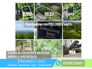 LOTS WITH PANORAMIC CITY VIEWS — ONLY AROUND 12 KM FROM ORTIGAS CBD | TOWN & COUNTRY ESTATE