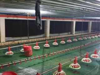 Fully Operational Poultry Farm for sale