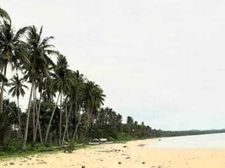 Beach Lot Walking distance to the beach for Sale in San Vicente Palawan