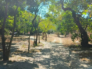 2,500 SQM Farm Lot with Mango Trees for Sale in Botolan, Zambales - RR1723