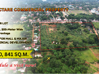 4-Hectare Commercial Property in Puerto Princesa City, Palawan