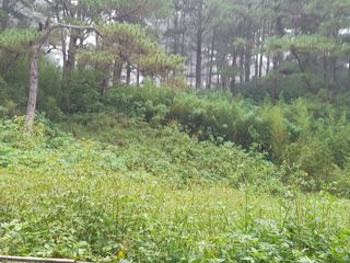 3 Hectares Interior Bakakeng Barangay in a Rolling to Flat Terrain