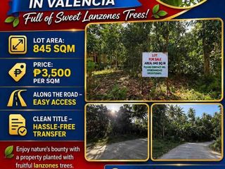 Land For sale in Lunga Valencia