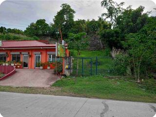 3368sqm COMMERCIAL PROPERTY w/ OVERLOOKING LOT in ARGAO CEBU.