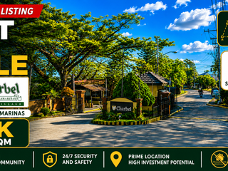 RESIDENTIAL LOT IN ST. CHARBEL SOUTH EXECUTIVE VILLAGE, DASMARIÑAS, CAVITE