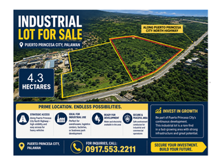 Commercial - Industrial Lot for Sale in Puerto Princesa City