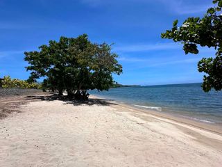 For Sale Rare Beach Front Lot in Playa Laiya, Batangas | 309 & 339 sq.m. | ₱10.9M & ₱11.9M