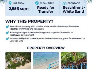 WHITE SAND BEACH LOT FOR SALE - KAPUTIAN SAMAL