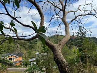 FOR SALE: Timberland Heights, San Mateo Rizal