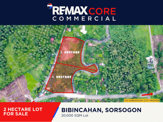 For Sale: 2 Hectare Lot Near Sorsogon State University in Bibincahan, Sorsogon