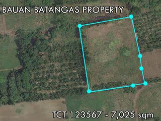 LOT FOR SALE IN BAUAN BATANGAS