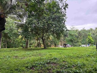 Farm Lot In Dolores Quezon