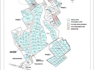 Ayala Cavite Technopark | PEZA Industrial Lot for Sale in Cavite | 12,265 sqm | Accessible to 40-Foot Trucks | ₱105M