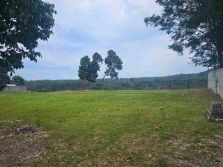 Overlooking Lot