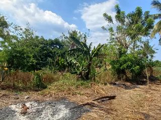 201.5M | 3.1 Hectare Lot in Manggas I, Alfonso, Cavite Near Twin Lakes For Sale - LSS