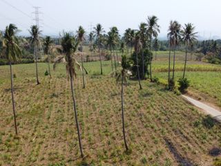 20 Hectare Agricultural Lot for Sale Located in Timbain Calaca City Batangas RAS