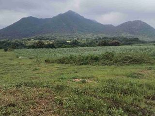 NASUGBU BATANGAS HECTARES OF LAND FOR SALE NEAR NGCP