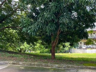 Residential Lot for Sale in Punta Fuego Batangas 550 sqm