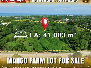 For Sale 41,083 sqm Mango Farm Lot with Road Frontage in Calatagan Batangas RAS