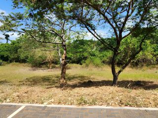 600 SQM LOT FOR SALE IN ANVAYA COVE | SEASCAPE RIDGE | FAIRWAY LOT | ₱19.2M